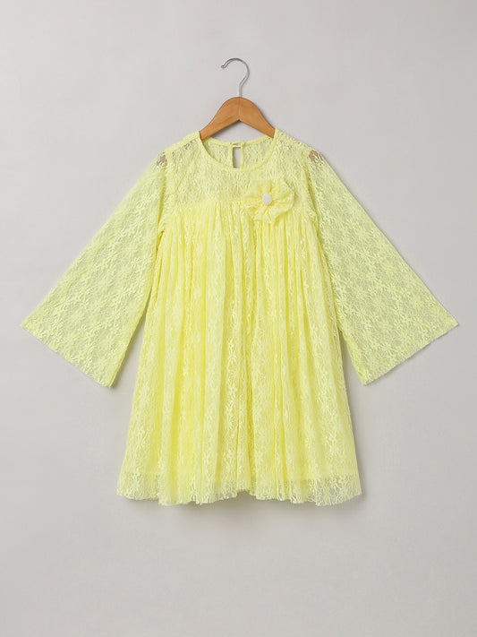 Viscos Nylon lace dress