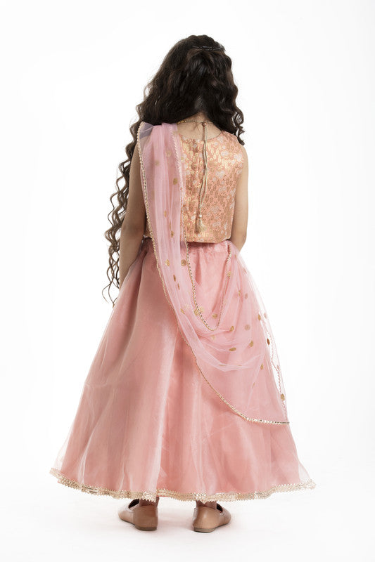 4Pcs Peach Lehenga Set