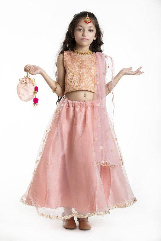 4Pcs Peach Lehenga Set