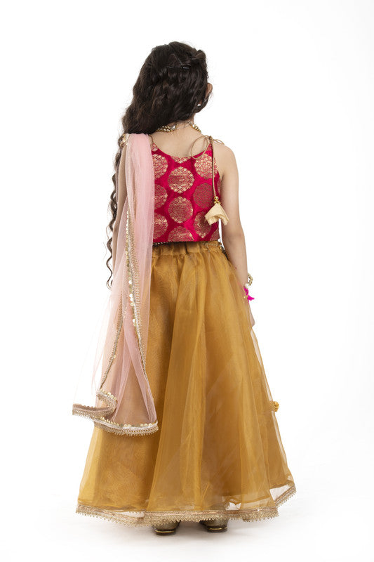 3Pcs Gold and Red Lehenga Set