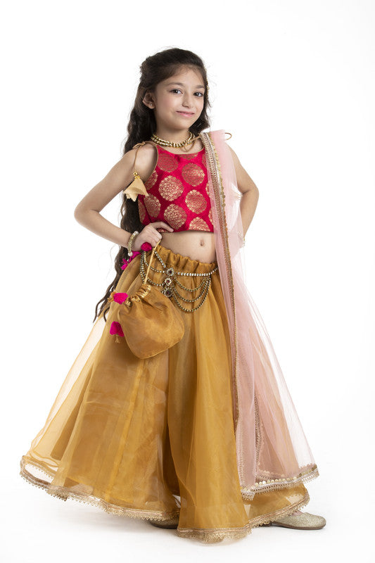 3Pcs Gold and Red Lehenga Set