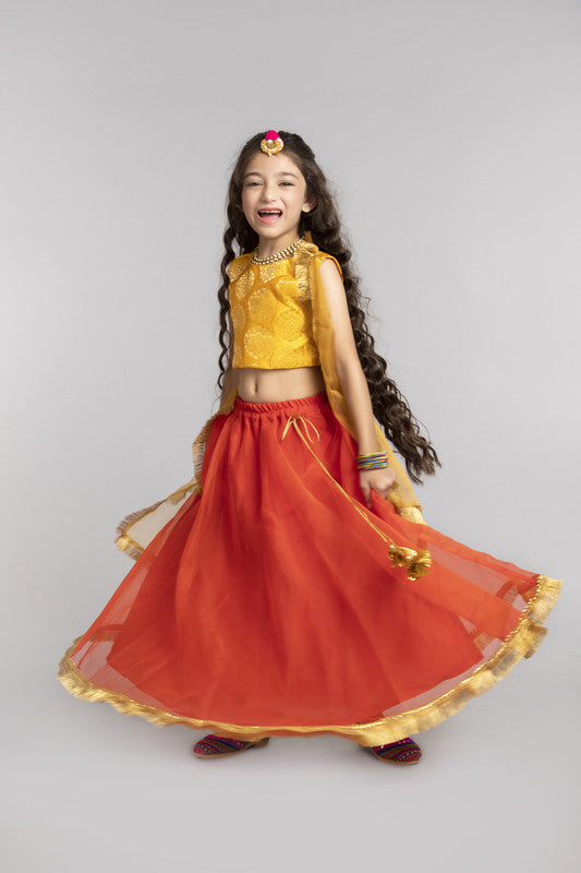 3Pcs Orange Lehenga Set