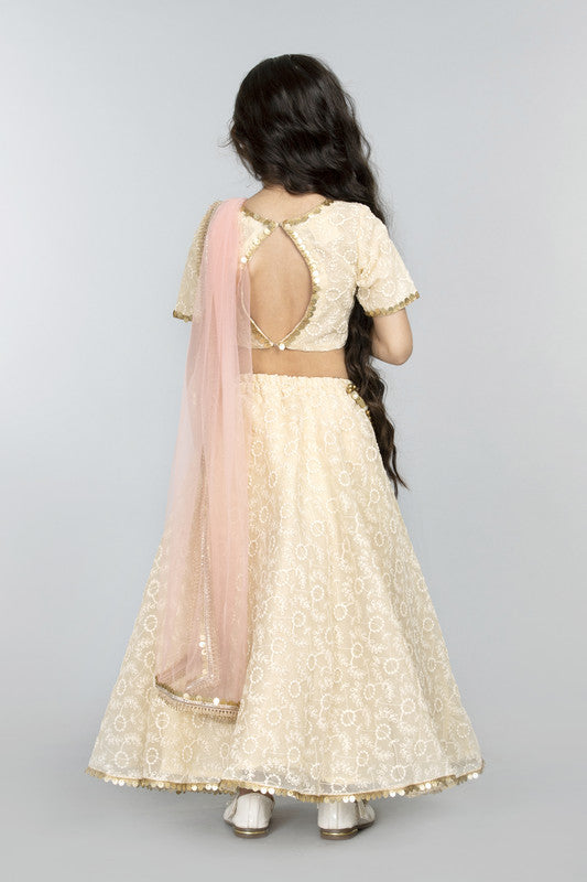 3pcs Cream Lehenga Set