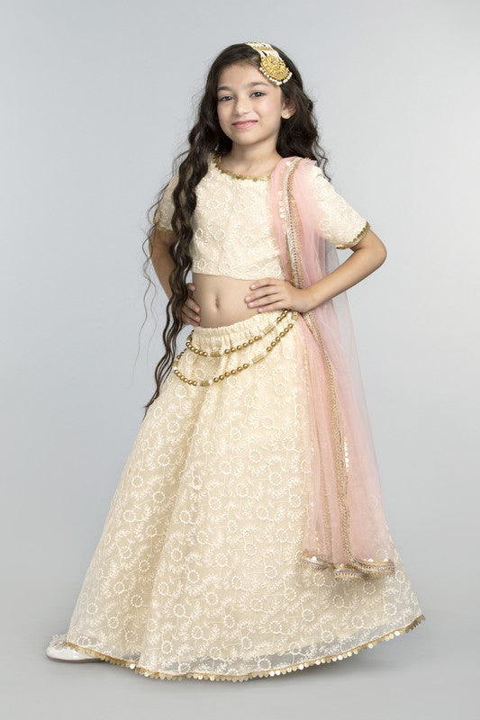 3pcs Cream Lehenga Set