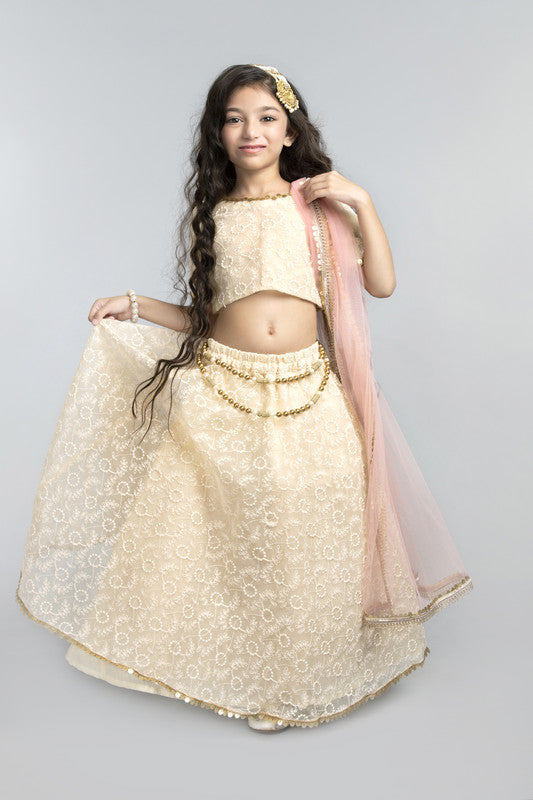 3pcs Cream Lehenga Set