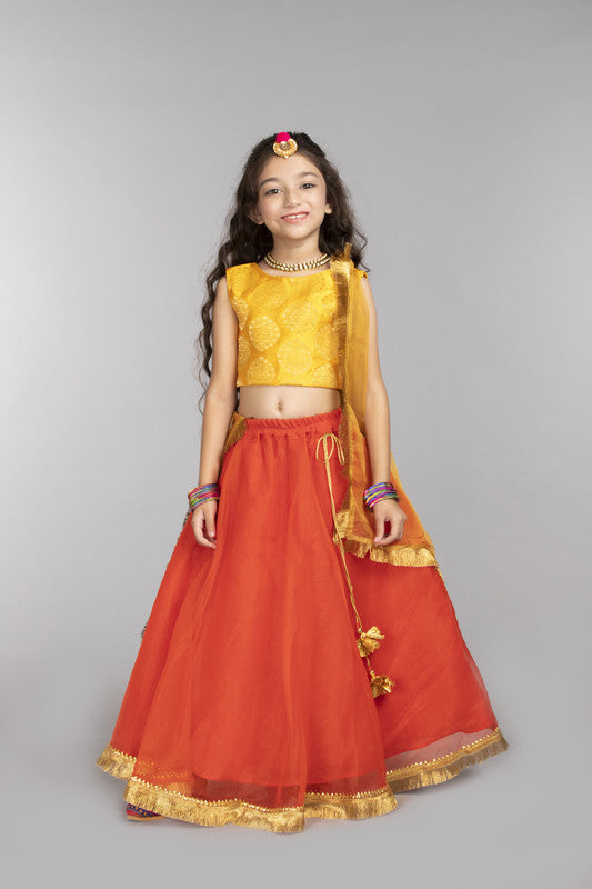 3Pcs Orange Lehenga Set